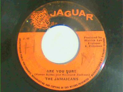 Are you sure/version-the jamaicans-jaguar records-7"-good