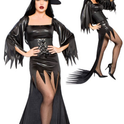 Hi-lo sexy witch costume