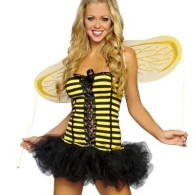 Sexy honey bee costume