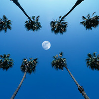 Orange County QR Code T-Shirt   *Also Available in Women's White - Thumbnail 1