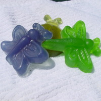  Summer Bug Collection (Best Seller!) - Thumbnail 1