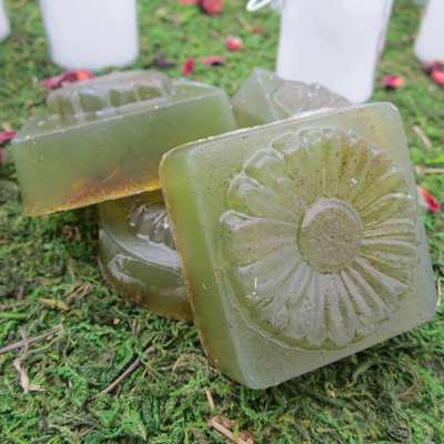 Gardener's scrub