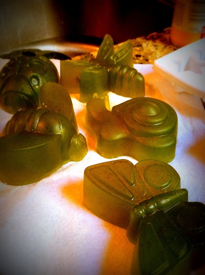 Enchanted Creature Collection 