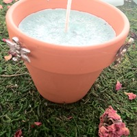 Tomato Leaf Terra Soy Pot - Thumbnail 1