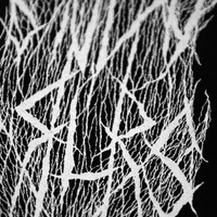 S ND Y   P RL RS - Thumbnail 2