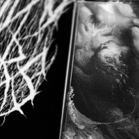 S ND Y   P RL RS - Thumbnail 4