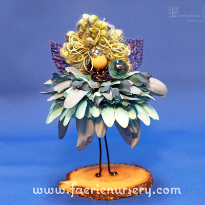 The northern faeries - agua 