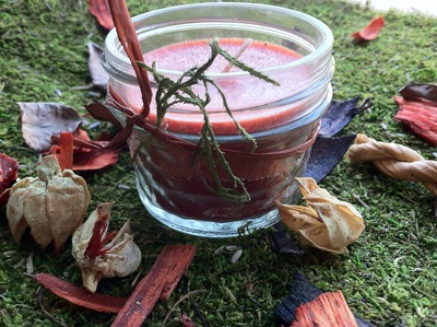 Rustic Enchantments Jar Lights 