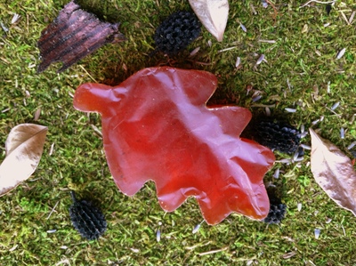 Mulled Orange Glycerin Leaf