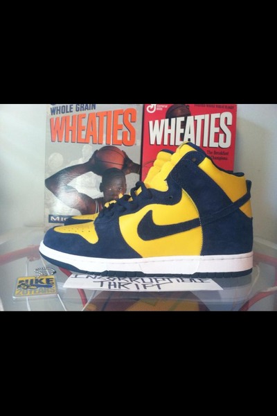 Michigan Nike SB Dunks Size 10.5