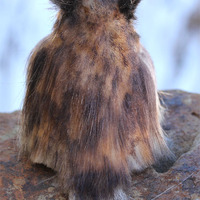 "Rowan" the Great Horned Owl soft sculpture - Thumbnail 3