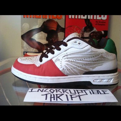 Cinco de mayo nike sb prods size 10