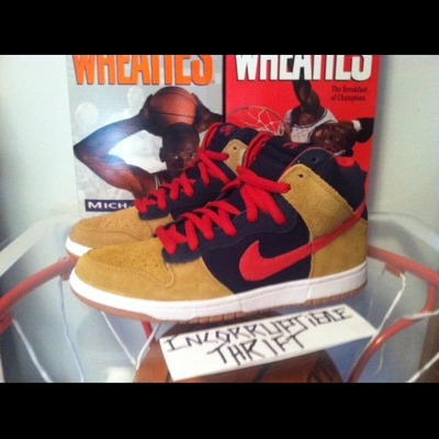 Reese forbes nike sb dunks size 9.5