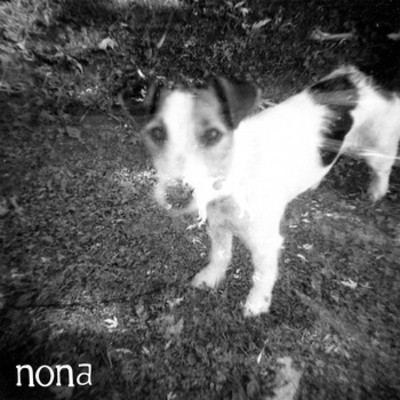 Nona/crowbait "split" 7" (dead broke records)