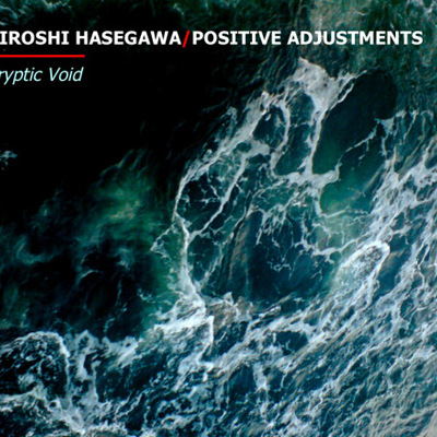 Hiroshi hasegawa & positive adjustments 'cryptic void' cd