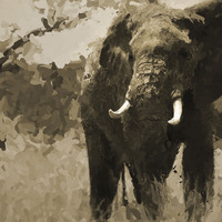 Elephant 1 12x18 Art Print - Thumbnail 1