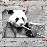 Panda Bear 12x18 Art Print - Thumbnail 1