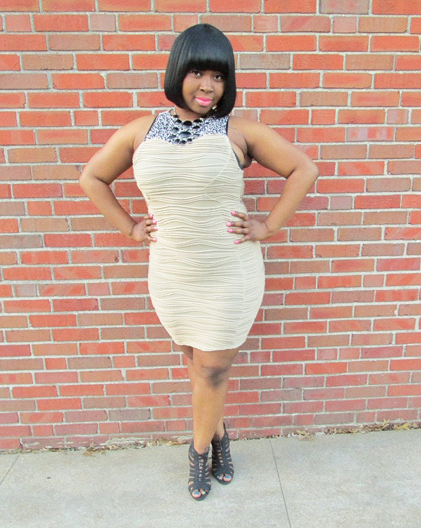 Tan-Black & White Dress