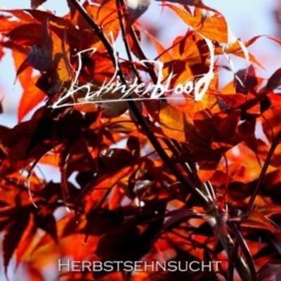 Winterblood "herbstsehnsucht" cd - Thumbnail 5