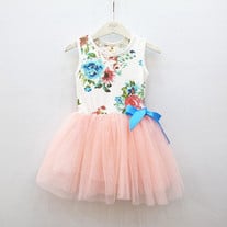'Blush Floral' Tutu Dress