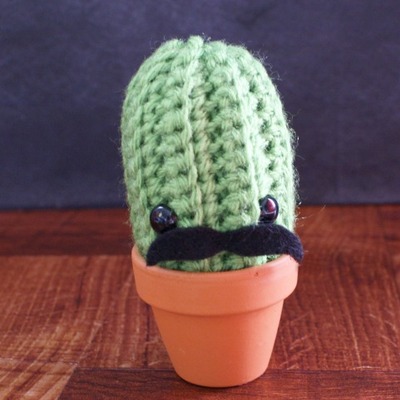 Louie, the little cactus