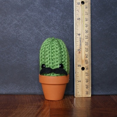 Louie, the little cactus