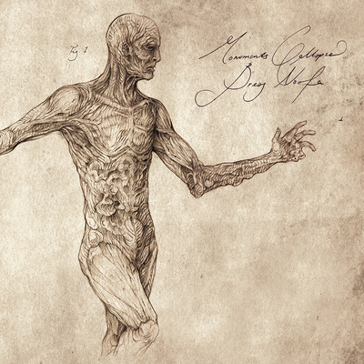 Monuments collapse / breag naofa split lp