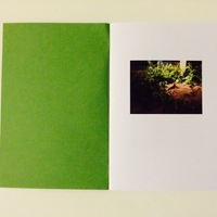 Metal Goat #6: White Tiger - Thumbnail 1