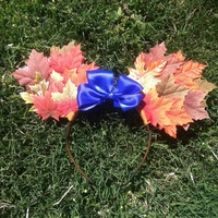 Fall mouse ears - Thumbnail 1