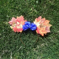 Fall mouse ears - Thumbnail 2