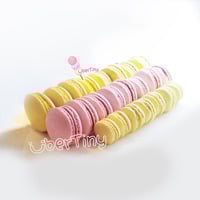 Jumbo Macaron Squishy - Thumbnail 4