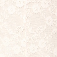 Lace Retro Shoulder Pad Fit & Flare Dress - Thumbnail 2