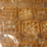 Formed in Love - Thumbnail 4