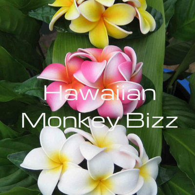 "aloha plumeria foam hair clip" - your choice of 1 . . . - Thumbnail 3