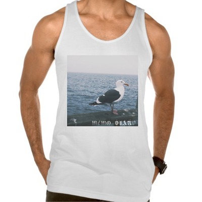 Sittin' pretty seagull