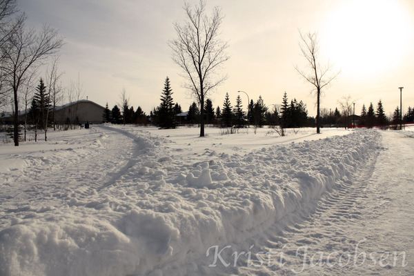Canadian Winter 5x7