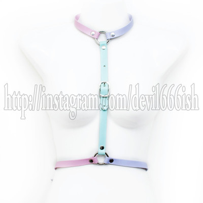 Pastel Harness 