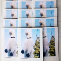 Metal Goat #7: The Color White - Thumbnail 4