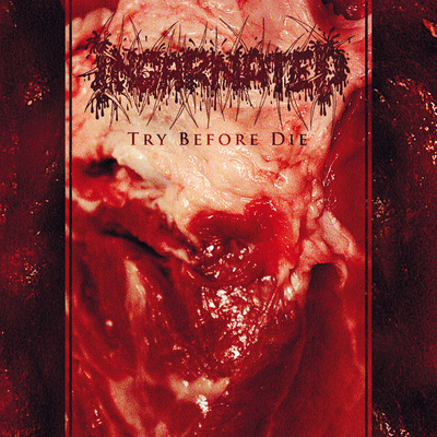 Incarnated try before die [cd]