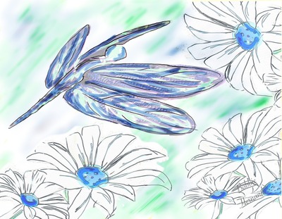 Dragonfly coffee mugs