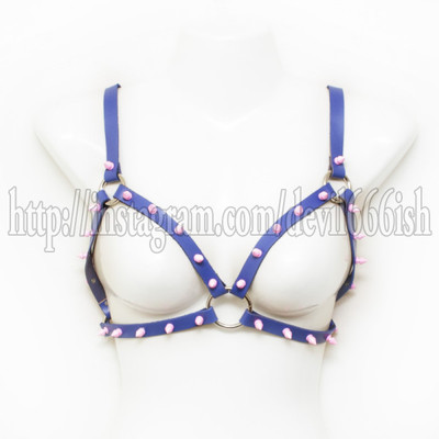 Toxic spikes Harness