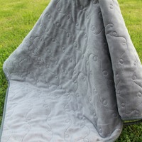 Reunion Baby/Toddler Quilt - Thumbnail 2