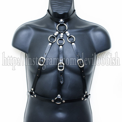 Triangle Harness