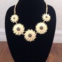 Daisy May-4