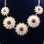 Daisy May-1