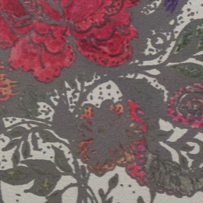 "flores polypus" framed