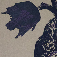 "Flores Cor" - Thumbnail 1