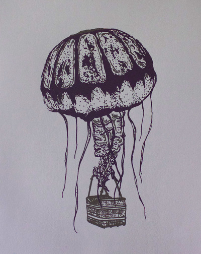 "Calor Caeli Medusozoa"