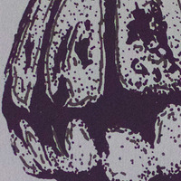 "Calor Caeli Medusozoa" - Thumbnail 1