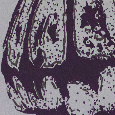 "calor caeli medusozoa"